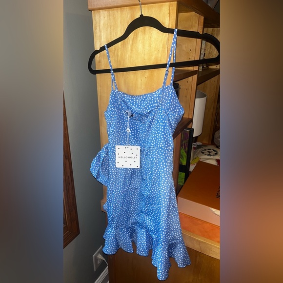 NWT Hello Molly Down to Georgia Dress - Picture 4 of 4